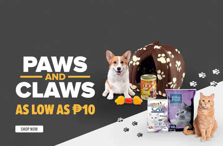 H6: Paws & Claws
