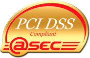 PCI DSS.